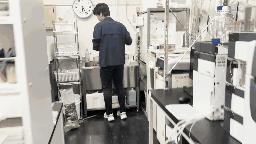 説明画像