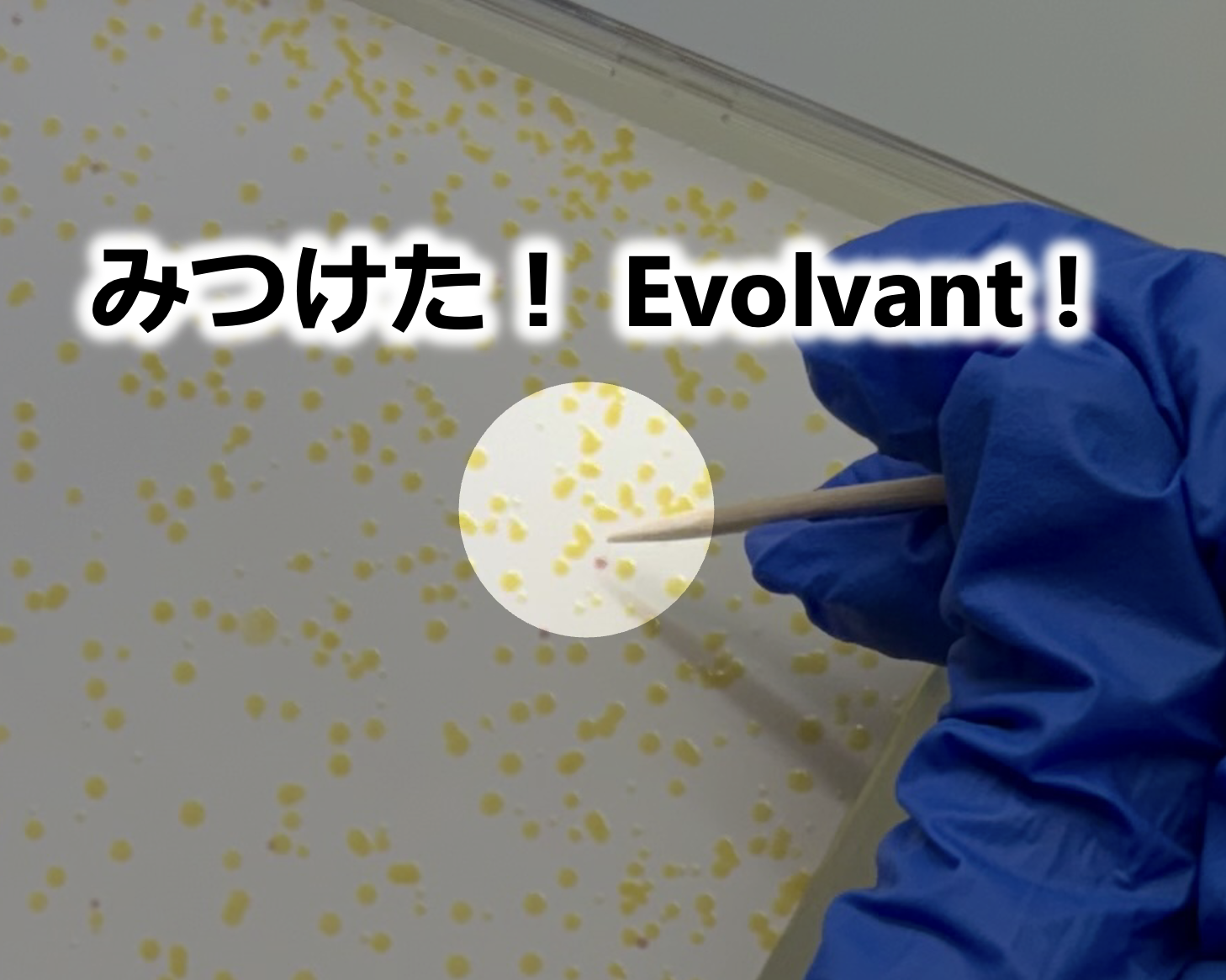 説明画像
